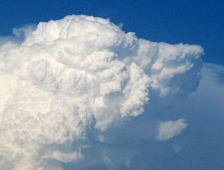 Top 10 Fluffy Clouds That Look Like Animals