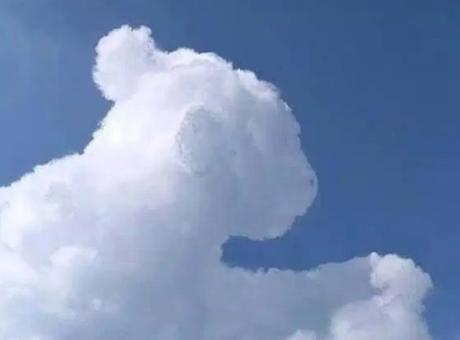 Top 10 Fluffy Clouds That Look Like Animals