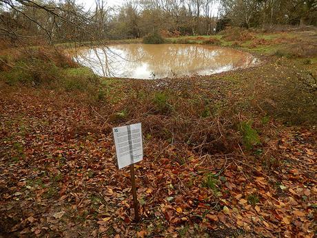 Quantock Hills – November 2015