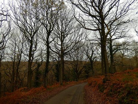 Quantock Hills – November 2015