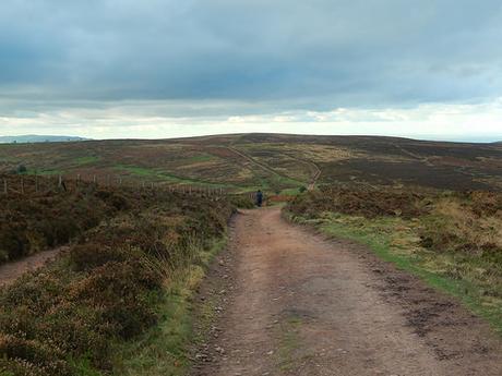 Quantock Hills – November 2015