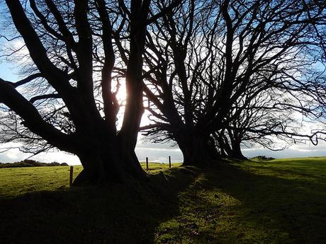 Quantock Hills – November 2015