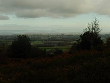 Quantock Hills – November 2015