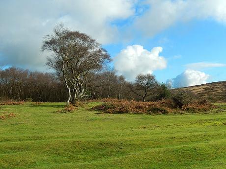 Quantock Hills – November 2015