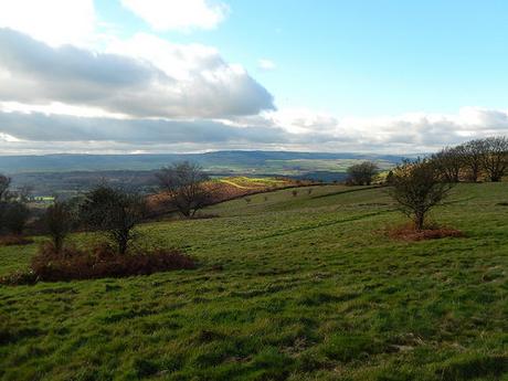 Quantock Hills – November 2015