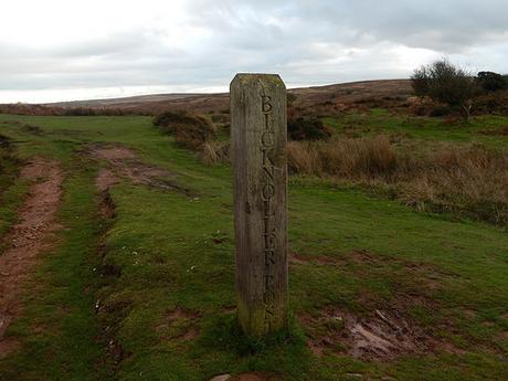 Quantock Hills – November 2015