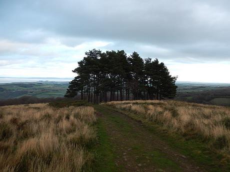 Quantock Hills – November 2015