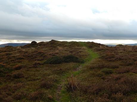 Quantock Hills – November 2015