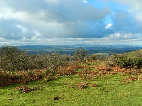 Quantock Hills – November 2015