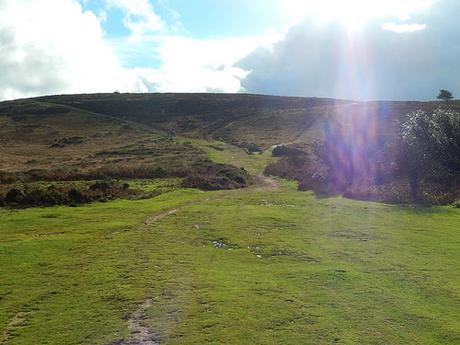 Quantock Hills – November 2015