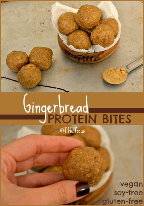 Gingerbread Protein Bites | PlantFusion | Vegan Energy Bites | Gluten Free | Healthy Recipes