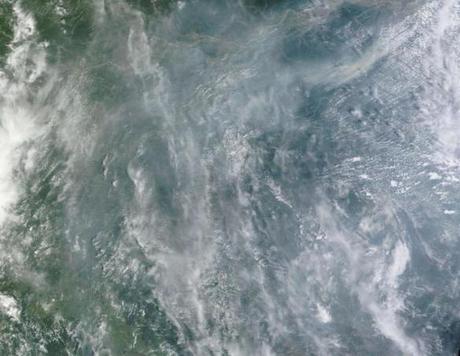 Brazil’s Great Amazon Rainforest Burns as Parched Megacities Fall Under Existential Threat