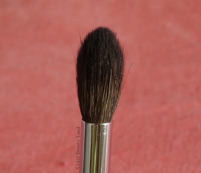 Makeup Tools in India : Zoeva Luxe Makeup Brushes 227,228,230 Review