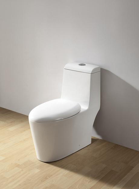 aura white dual flush toilet elongated bowl versus vs round debate pros cons benefits downsides tips advice