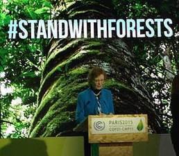 World leaders outline forest vision at climate change talks
