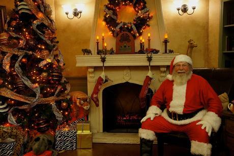 Santa Pictures at the San Antonio Zoo, Zoo Lights, Holiday Nights 