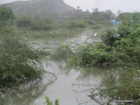 more rains in Chennai ~ and some relief work by SYMA at Anakaputhur