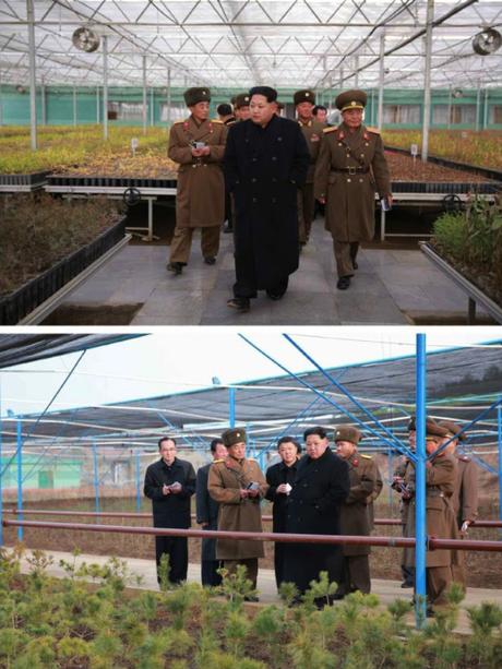 Kim Jong Un tours the KPA Tree Nursery #122 (Photos: KCNA).