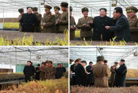 Kim Jong Un tours greenhouses of the KPA Tree Nursery #122 (Photos: KCNA).