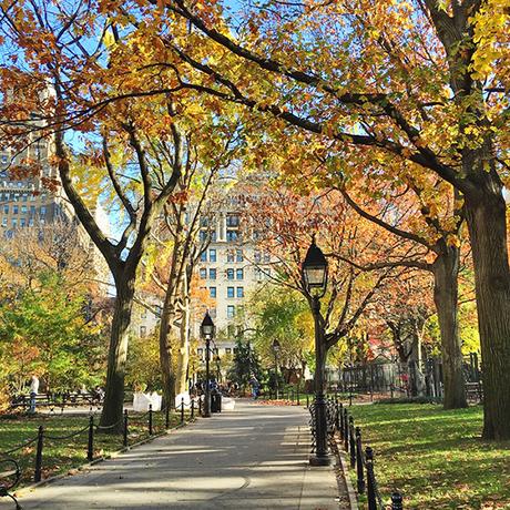 Through My Lens : Recently On Instagram