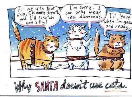 why Santa doesn't use cats