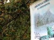 Domaine Catros Arboretum Which Refuses Down