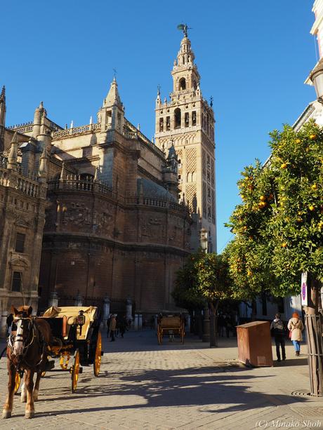 多くの芸術家を生み出した町，セビリア / Seville has ever produced many artists, Part1