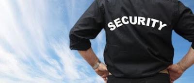 Why Hire Security Guards For A Party?