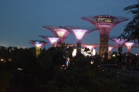 Gardens by bay,Singapore,Wonderland