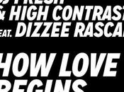 Fresh High Contrast Love Begins Dizzee Rascal