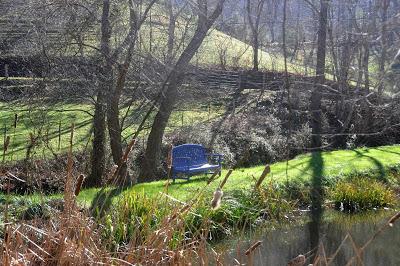 Blue Benches and Cattails