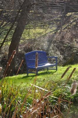 Blue Benches and Cattails