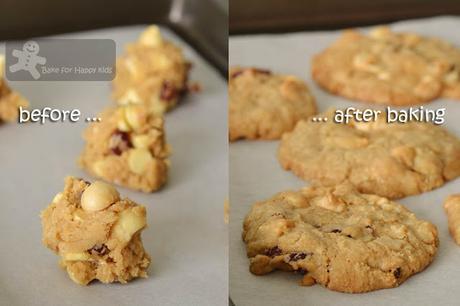 Two Very Good and Basic Chocolate Chip Cookies Recipes: Crispy and Chewy from Donna Hay / Crispy from Better Home and Gardens, Fast Ed
