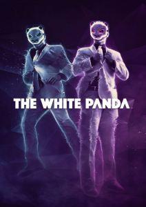 The White Panda: Exclusive Interview White Panda3
