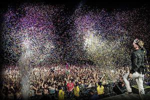 The White Panda: Exclusive Interview White Panda5