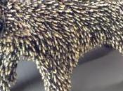 Want Connect with Best People? Volunteer.