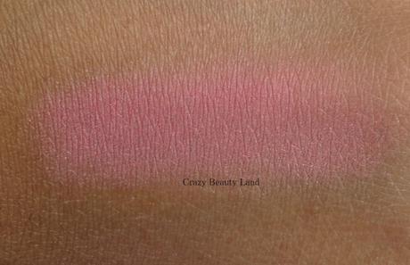 ColorBar Touch and Blush in Tint of Pink // Perfect on the go companion ?