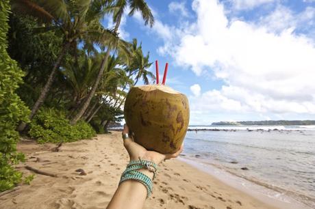 Kauai, Island of Vitamin Sea