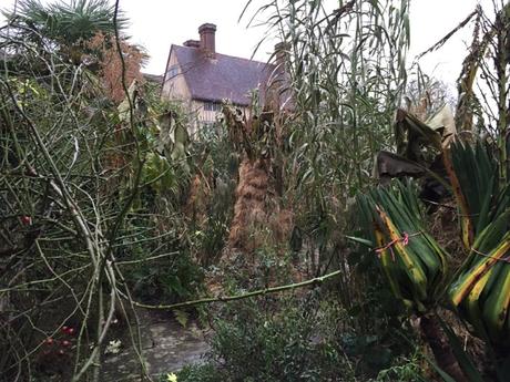 tropical garden in winter at great dixter