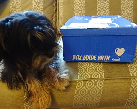 Blogmas day 8: Piper's 2nd Pawsome box