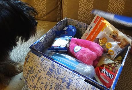 Blogmas day 8: Piper's 2nd Pawsome box