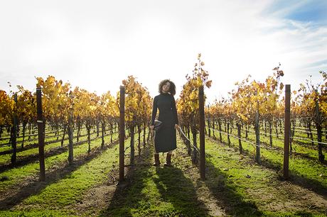 Fall in Sonoma County