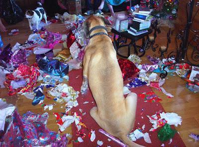 PHOTOS: Crazy cats and bad dogs ruin Christmas