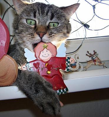 PHOTOS: Crazy cats and bad dogs ruin Christmas