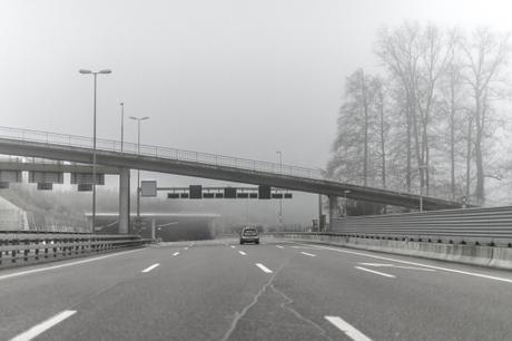 Runaway _DSC3173