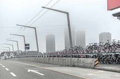 Runaway _DSC3139