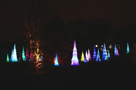 Christmas at Kew
