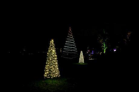Christmas at Kew