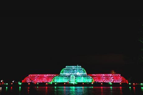 Christmas at Kew