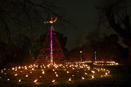 Christmas at Kew